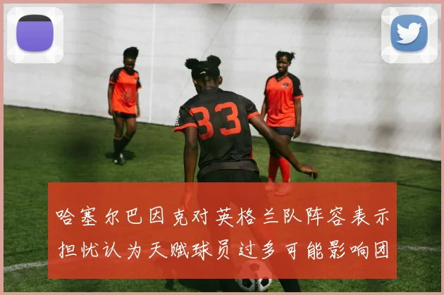 哈塞尔巴因克对英格兰队阵容表示担忧认为天赋球员过多可能影响团队合作