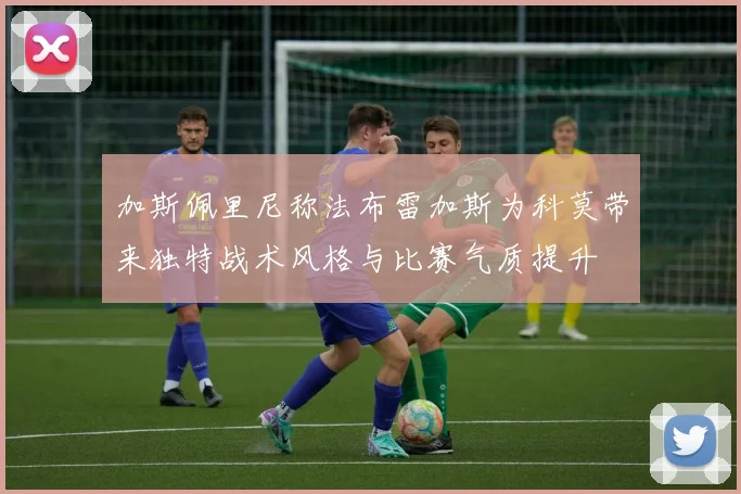 加斯佩里尼称法布雷加斯为科莫带来独特战术风格与比赛气质提升