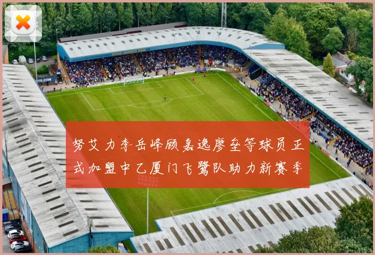 努艾力李岳峰顾嘉逸廖垒等球员正式加盟中乙厦门飞鹭队助力新赛季