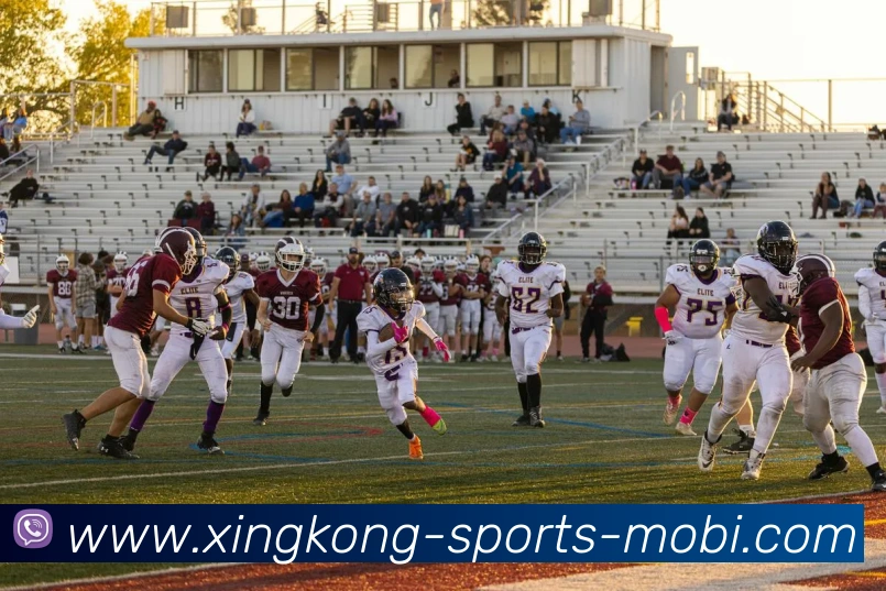 星空体育平台生态图