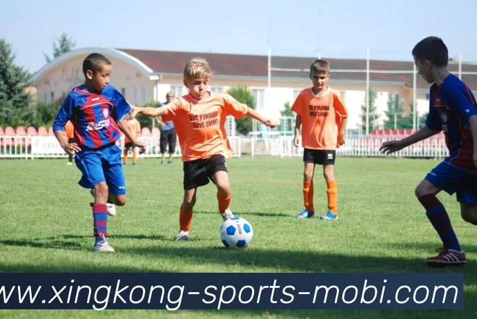 数据防护可视化